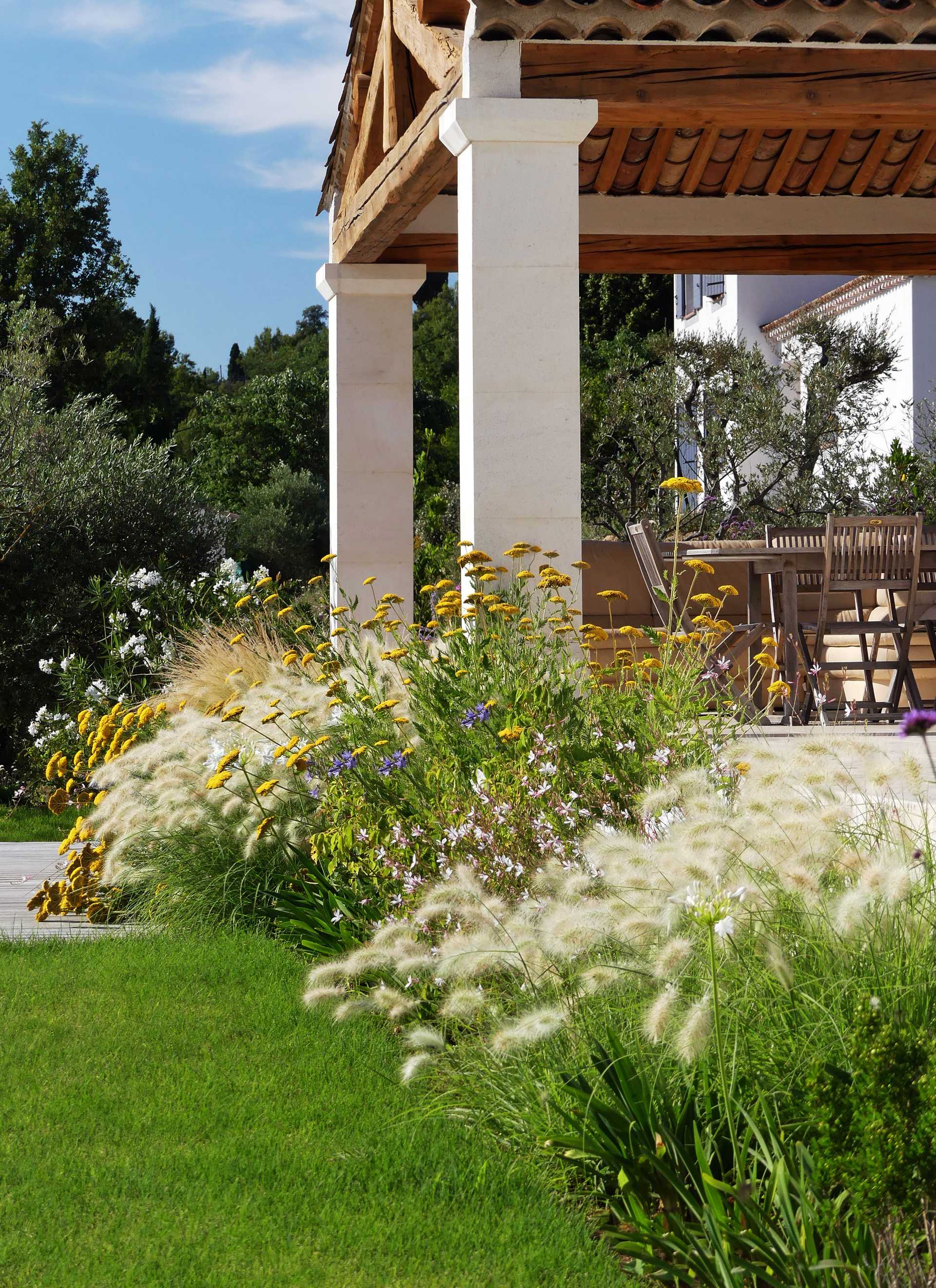 A landscape architect designs a Mediterranean garden in the Marseille region